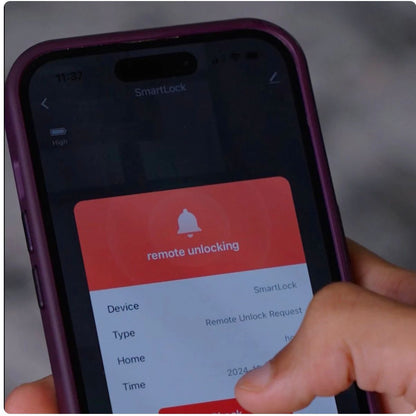 Serrure intelligente QJ20